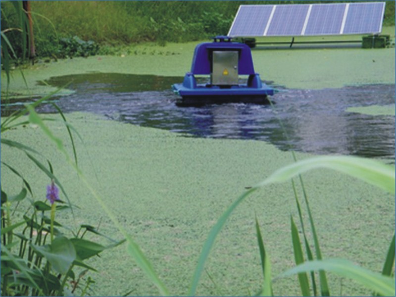 建在河沟上的太阳能污水处理厂 建在河沟上的太阳能污水处理厂