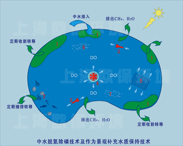 上海欧保环境 上海欧保环境