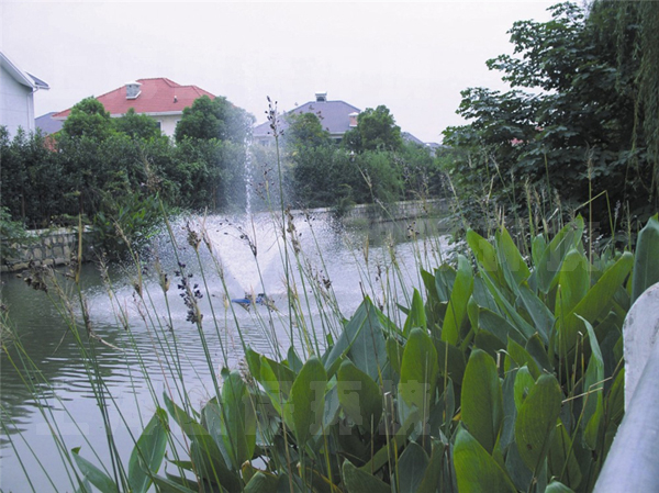城镇黑臭河道治理及生态修复六大关键点 城镇黑臭河道治理及生态修复六大关键点