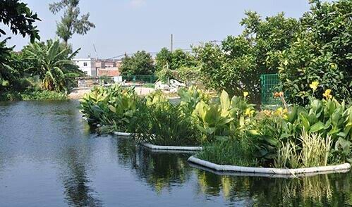 各种自然曝气的生物膜法、人工湿地、生物氧化塘应成为主流技术 各种自然曝气的生物膜法、人工湿地、生物氧化塘应成为主流技术