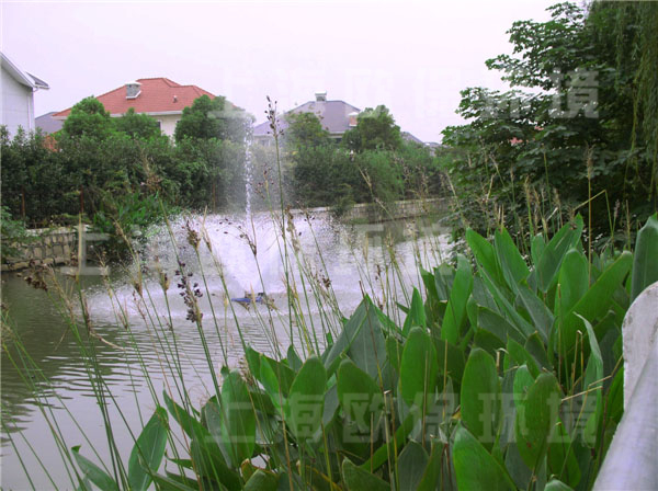 浮水喷泉曝气机，生态浮岛，在上海二里泾河道治理中的应用