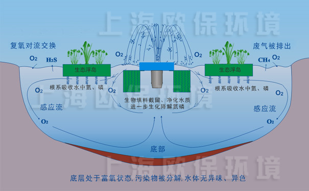 氧化塘增容净化装置-工作原理图