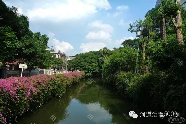 生态绿色长廊 生态绿色长廊