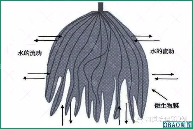 生态草结构示意图