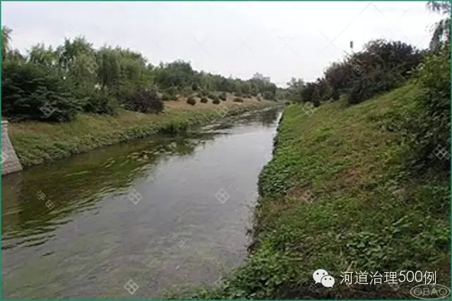 生态治理后,马草河正在慢慢恢复生机 生态治理后,马草河正在慢慢恢复生机