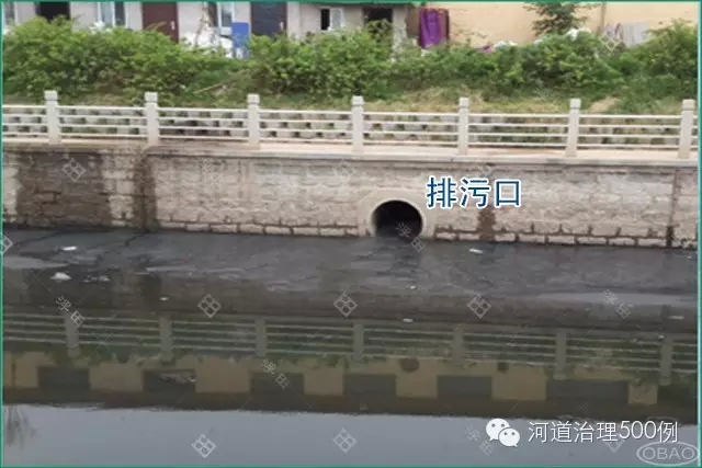 排污口周边水质明显较差 排污口周边水质明显较差