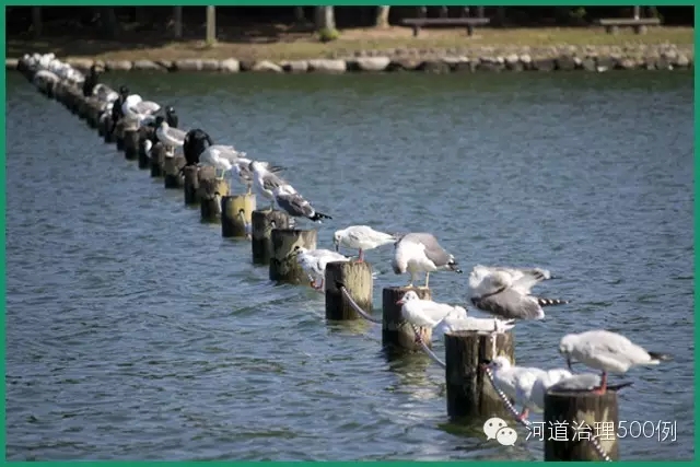 日韩生态工法，自然河川，值得借鉴