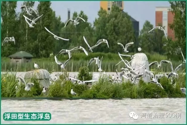 生态浮岛本应构造生境,改善生态栖息环境 不应成为生态的一种负担 生态浮岛本应构造生境,改善生态栖息环境 不应成为生态的一种负担