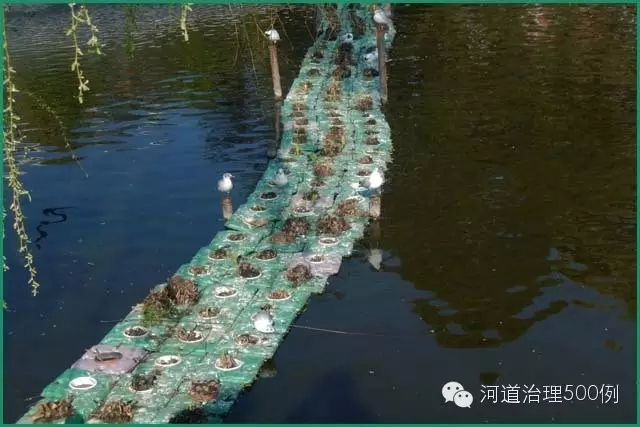 云南某河中的吹塑浮岛,两年后的处境 云南某河中的吹塑浮岛,两年后的处境