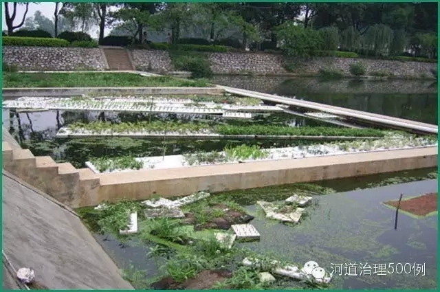 生态浮岛选择不当,一段时间后变成一堆垃圾 生态浮岛选择不当,一段时间后变成一堆垃圾