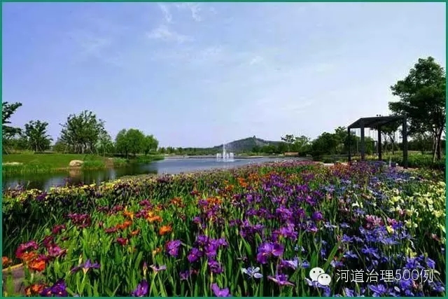 一地一策,合理选择 重在当地,巧补点缀 一地一策,合理选择 重在当地,巧补点缀