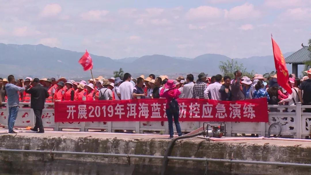 洱海蓝藻大爆发?打捞队员集体大出动除藻! 洱海蓝藻大爆发?打捞队员集体大出动除藻!