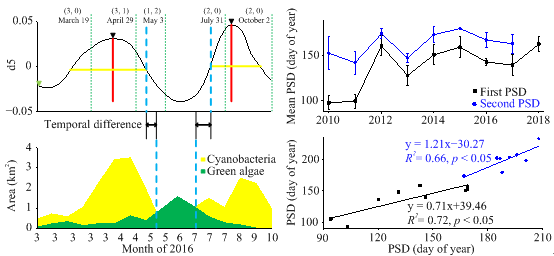 蓝藻-绿藻演替模式时序分析