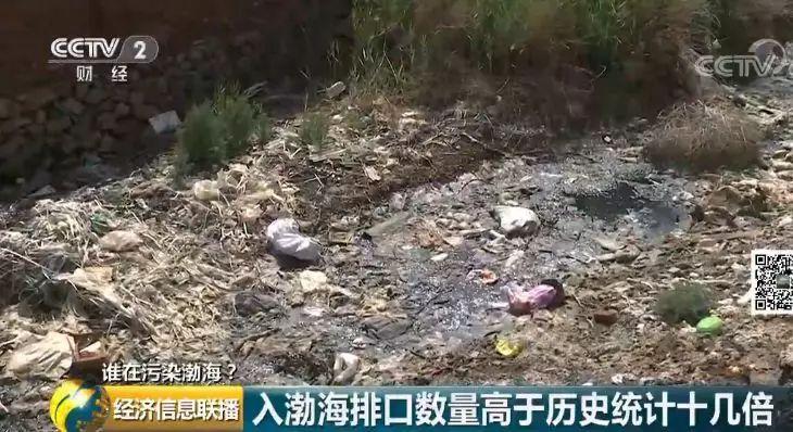 36 入海河流黑臭变红水质多项指数超标