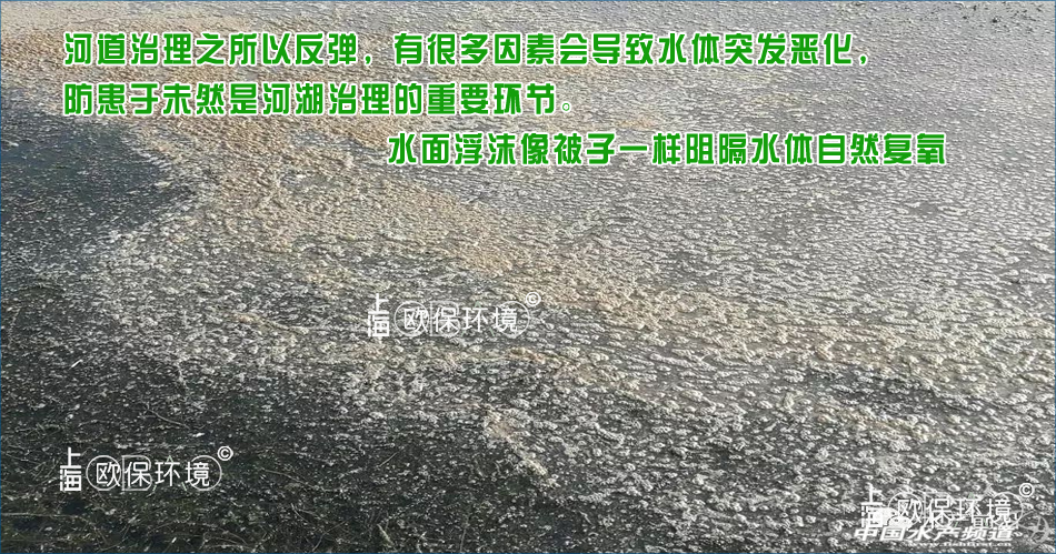 随着水温升高,泡沫覆盖,溶解氧不足,水体发生厌氧,水质恶化 随着水温升高,泡沫覆盖,溶解氧不足,水体发生厌氧,水质恶化