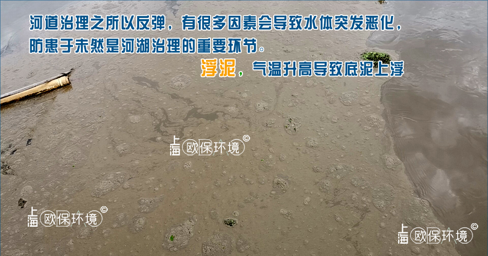 水面浮泥覆盖表面，不及时处理，导致完全隔断水与空气的接触，影响水体自然复氧与水体观感