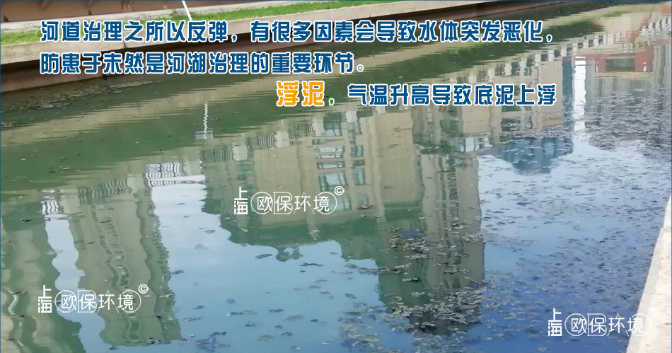 河道中的浮泥危害：城市河道水体流动性差，污染累积量大，当温度升高时，极易产生底泥上浮，但浮泥比较松散，打捞困难，因此，处理起来比较棘手，很多区域只能打碎再回到河道，导致浮泥重复发生。若不加处理，河道水体极易黑臭。