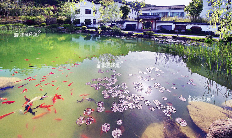 潜水生态净化墙（浸没式生物反应墙）实物照片