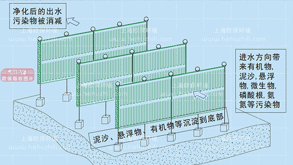 生物填料