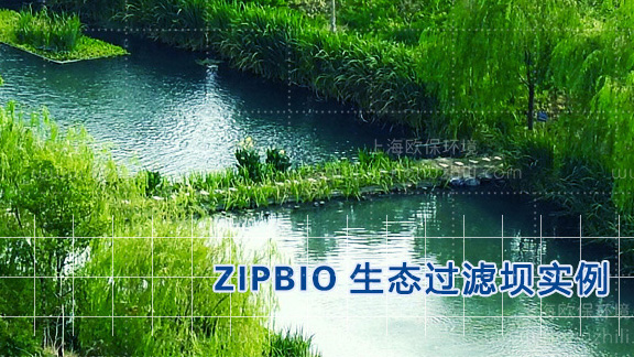 生态过滤坝 生态过滤坝