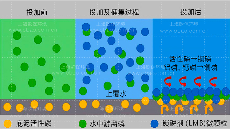 锁磷剂