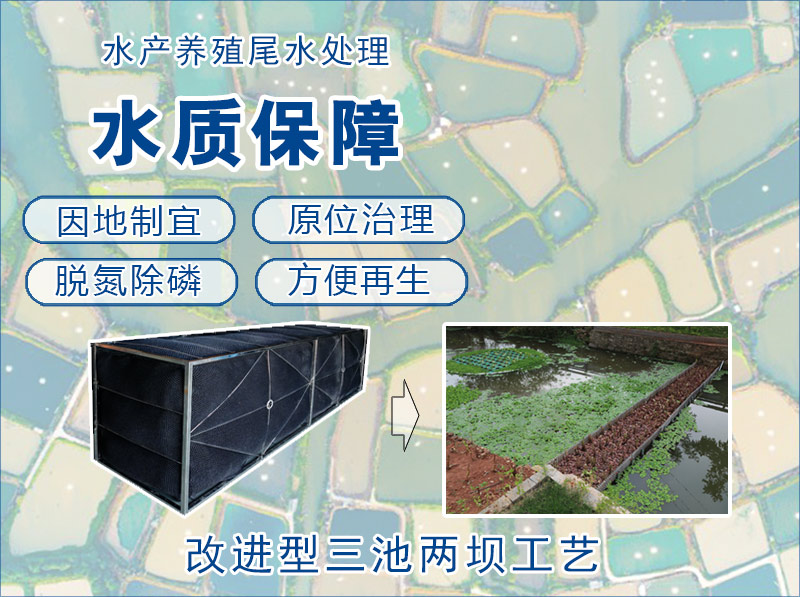 水产养殖尾水处理工艺选择原则&ldquo;改进型三池两坝工艺&rdquo;